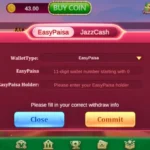 Bingo Patti Money Withdraw